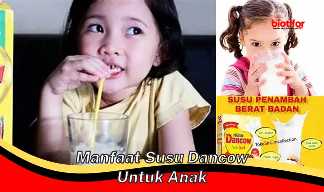 manfaat susu dancow untuk anak