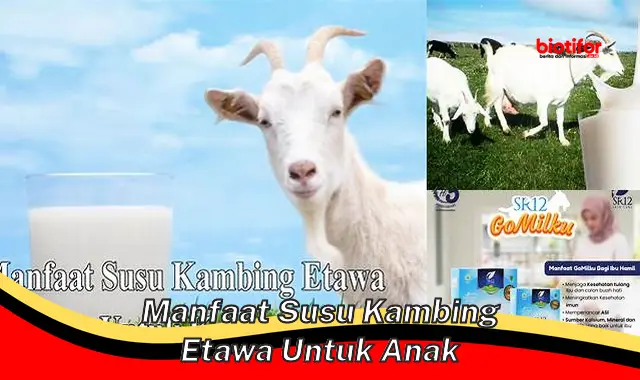 manfaat susu kambing etawa untuk anak