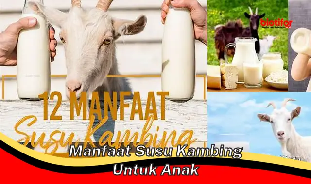 manfaat susu kambing untuk anak