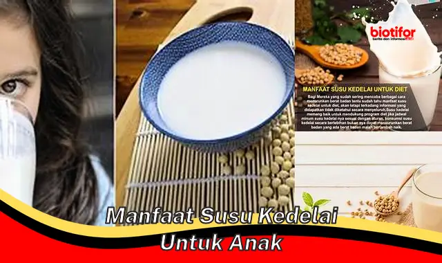 Temukan Rahasia Manfaat Susu Kedelai untuk Anak yang Jarang Diketahui ...