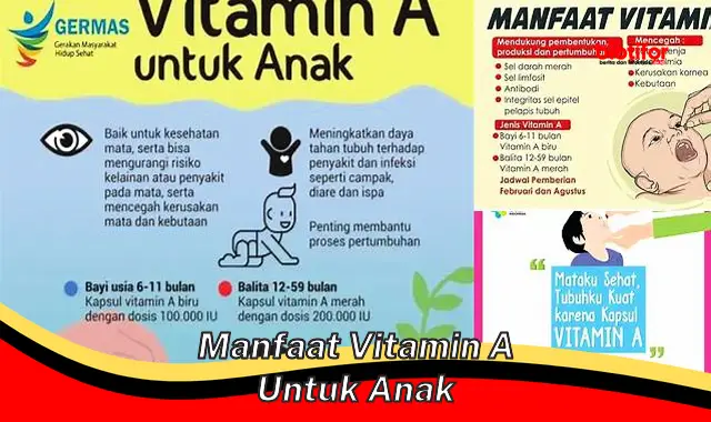 manfaat vitamin a untuk anak