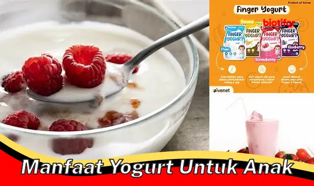 manfaat yogurt untuk anak