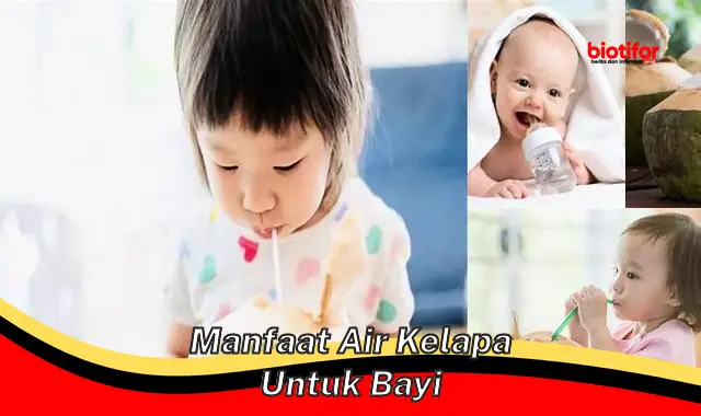 Temukan 5 Manfaat Air Kelapa untuk Bayi yang Jarang Diketahui