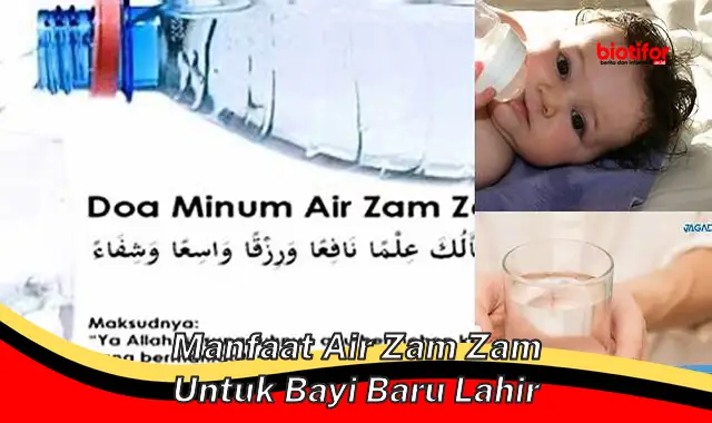 manfaat air zam zam untuk bayi baru lahir