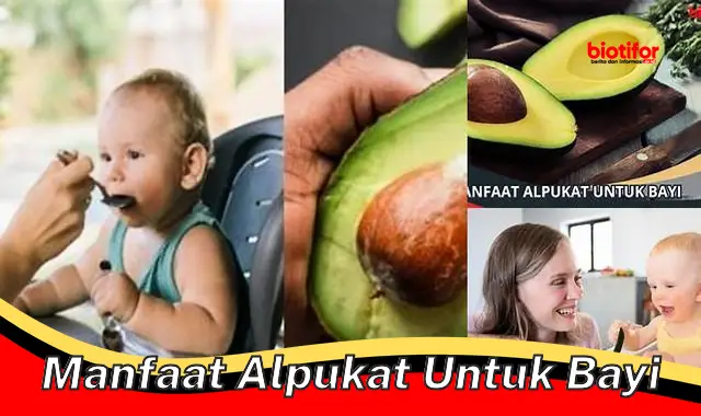 manfaat alpukat untuk bayi