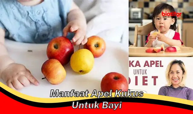 manfaat apel kukus untuk bayi