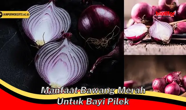 Temukan Rahasia Bawang Merah untuk Bayi Pilek Anda!