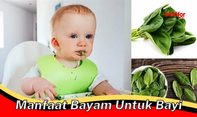 manfaat bayam untuk bayi