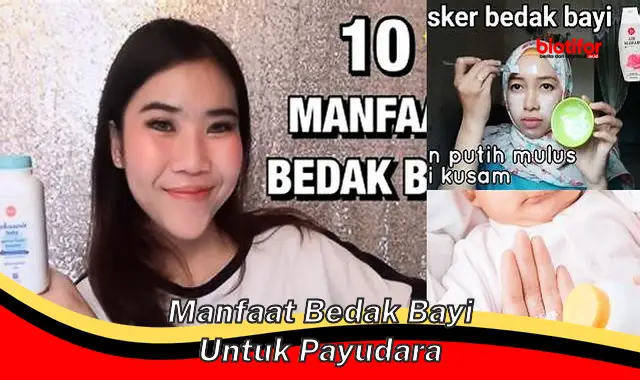 Temukan 5 Manfaat Bedak Bayi untuk Payudara yang Perlu Anda Ketahui