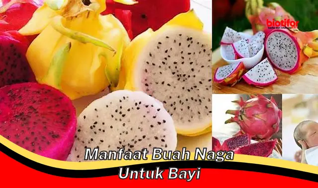 manfaat buah naga untuk bayi