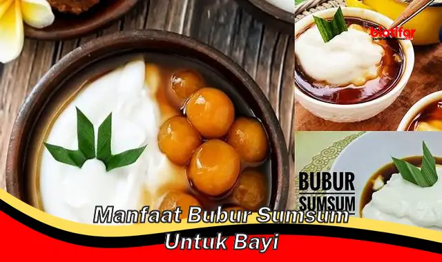 manfaat bubur sumsum untuk bayi