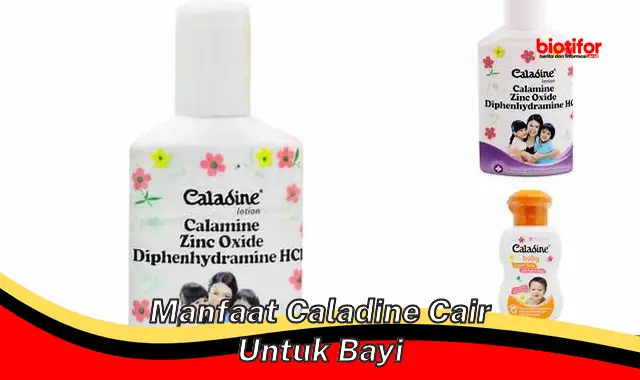 manfaat caladine cair untuk bayi