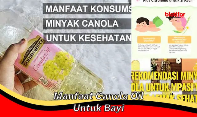 manfaat canola oil untuk bayi