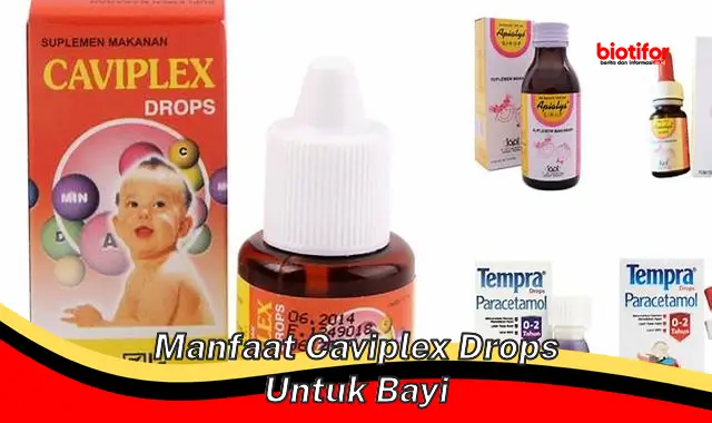 Temukan Manfaat Caviplex Drops untuk Bayi yang Jarang Diketahui