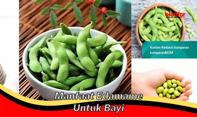 manfaat edamame untuk bayi