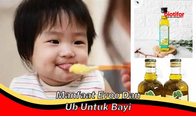 manfaat evoo dan ub untuk bayi