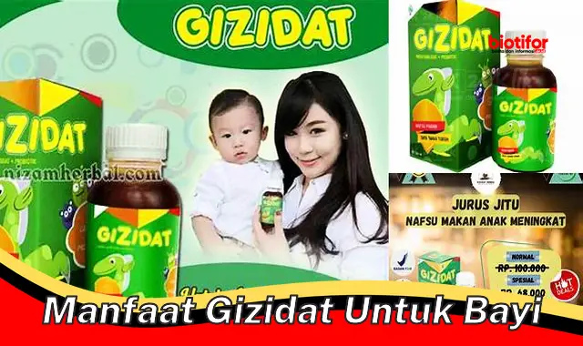 manfaat gizidat untuk bayi