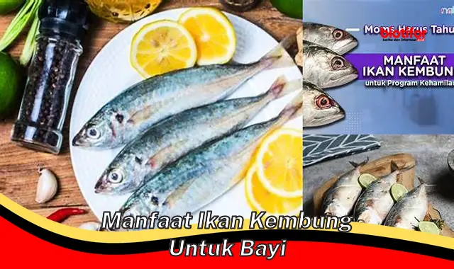 manfaat ikan kembung untuk bayi