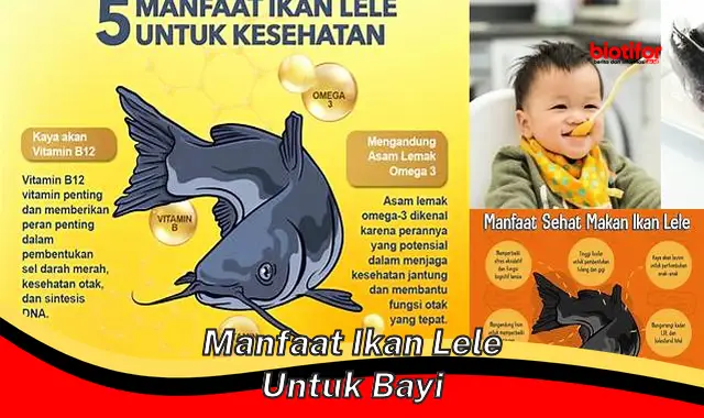 Ungkap Manfaat Ikan Lele untuk Bayi yang Jarang Diketahui