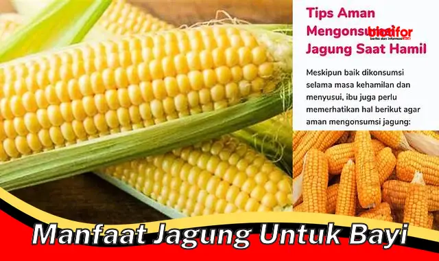 manfaat jagung untuk bayi