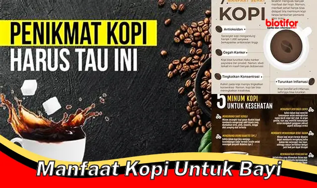 manfaat kopi untuk bayi