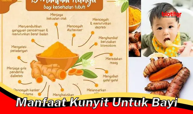 manfaat kunyit untuk bayi