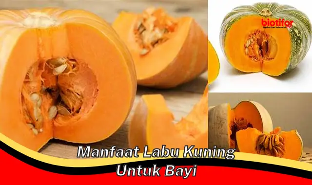 manfaat labu kuning untuk bayi