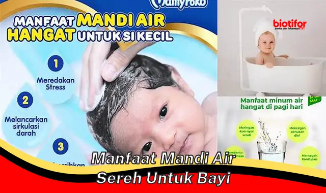 manfaat mandi air sereh untuk bayi