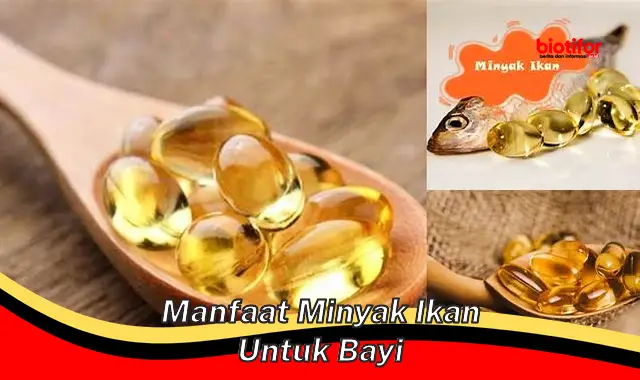 manfaat minyak ikan untuk bayi