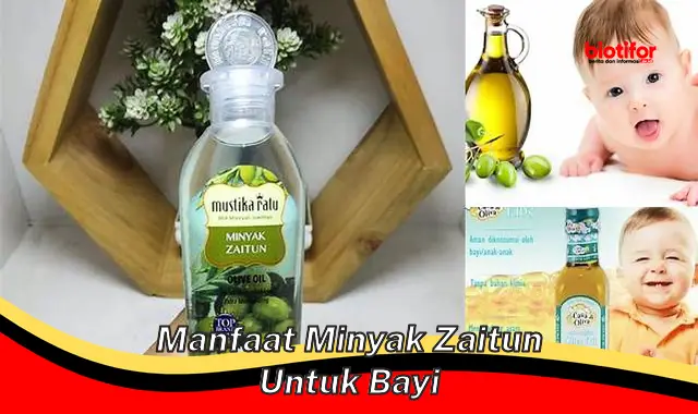 manfaat minyak zaitun untuk bayi