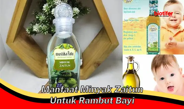 manfaat minyak zaitun untuk rambut bayi