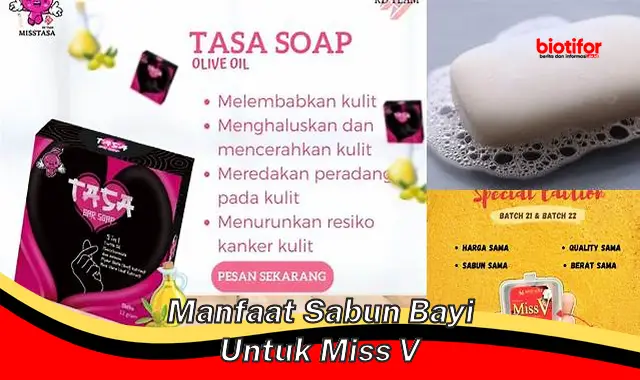 manfaat sabun bayi untuk miss v