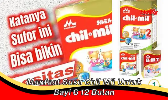 Temukan 5 Manfaat Susu Chil Mil yang Jarang Diketahui untuk Bayi 6-12 Bulan