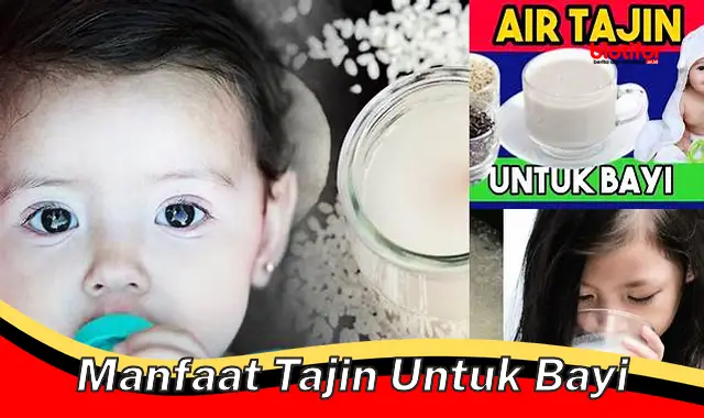 manfaat tajin untuk bayi