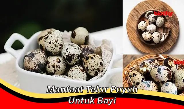 Temukan Khasiat Telur Puyuh untuk Bayi yang Perlu Anda Ketahui