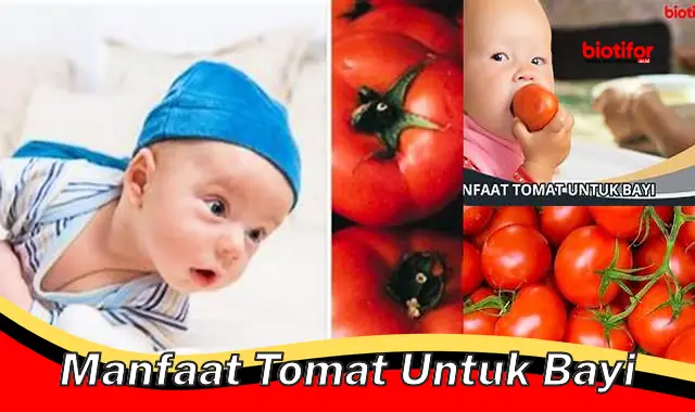 manfaat tomat untuk bayi