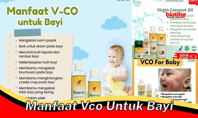 manfaat vco untuk bayi