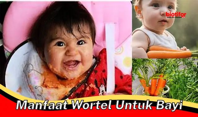 manfaat wortel untuk bayi