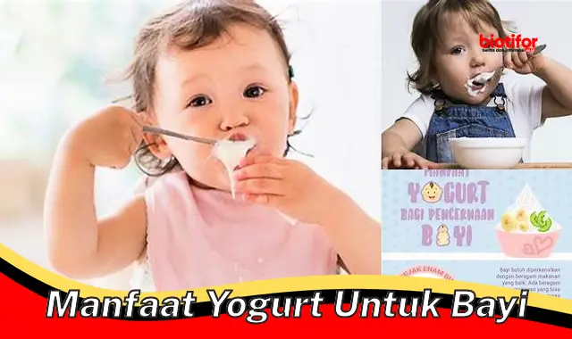 manfaat yogurt untuk bayi