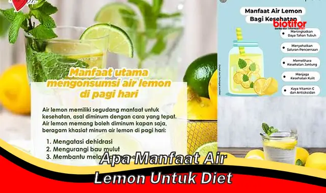 apa manfaat air lemon untuk diet