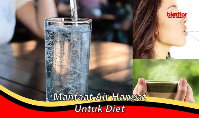manfaat air hangat untuk diet