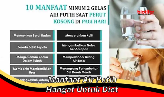 manfaat air putih hangat untuk diet