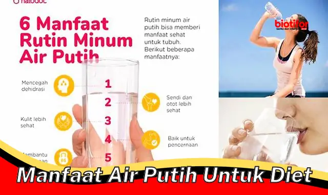 Temukan Manfaat Air Putih untuk Diet yang Jarang Diketahui!