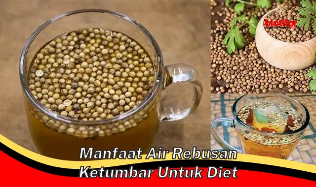 manfaat air rebusan ketumbar untuk diet