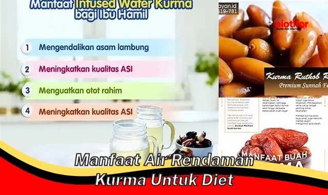 manfaat air rendaman kurma untuk diet