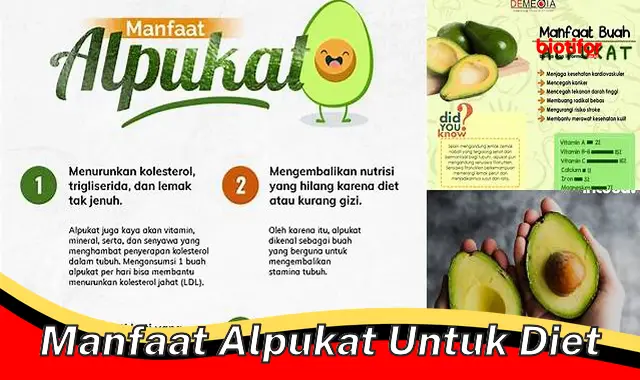 manfaat alpukat untuk diet