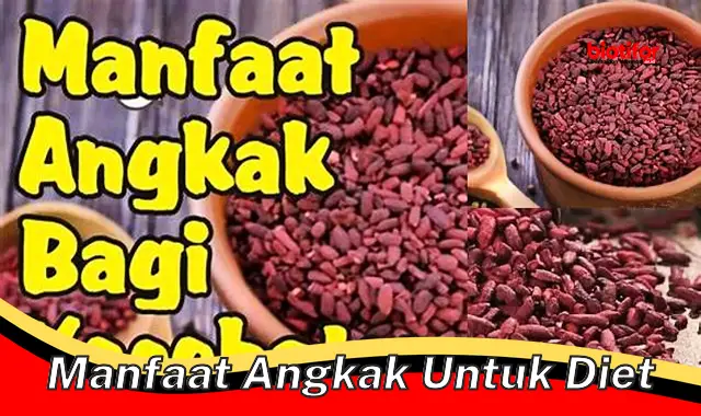 manfaat angkak untuk diet