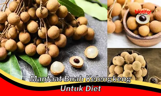 manfaat buah kelengkeng untuk diet