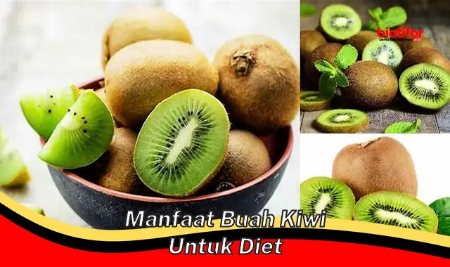 manfaat buah kiwi untuk diet