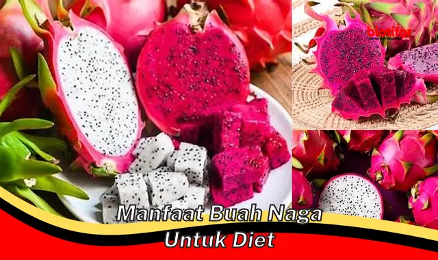 manfaat buah naga untuk diet